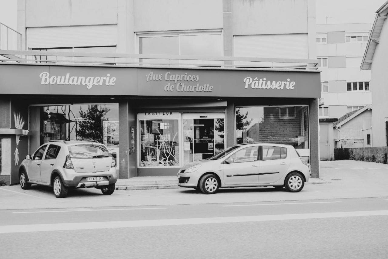 Franc-Bisontin - Unique ! 4 Logements Disponibles Besançon Eksteriør bilde